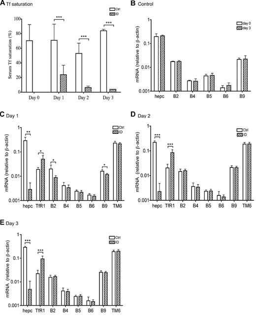 Figure 3. Suppression of hepcidin mRNA in response to acute iron deprivation does not result from the transcriptional regulation of BMP6 and TMPRSS6 gene expression. (A) Serum Tf saturation in rats at day 0 and in rats fed either a control diet (white bar) or an ID diet (striped bar) for 1, 2, and 3 days. (B) qRT-PCR analysis of hepcidin (hepc), BMP2 (B2), BMP4 (B4), BMP5 (B5), BMP6 (B6), and BMP9 (B9) mRNA in the liver tissues from animals fed a control diet at day 0 (white bar) and 3 days (striped bar). (C-E) qRT-PCR analysis of hepcidin (hepc), TfR1, BMP2 (B2), BMP4 (B4), BMP5 (B5), BMP6 (B6), BMP9 (B9), and TMPRSS6 (TM6) mRNA in the liver tissues from rats fed either a control diet (□) or an ID diet (▨) for 1 day (C), 2 days (D), and 3 days (E). Results are expressed as the amounts relative to β-actin rather than GAPDH. Previous studies indicate that iron deficiency in rats increases GAPDH mRNA levels in the liver.29 There are 5 animals per group for 0 day, 1 day, and 2 days, and 4 animals per group for 3 days. Tissues used in panel B were collected from a separate experiment. The mean values and the SD for each group are presented. The paired 2-tailed Student t test was used to evaluate the statistical significance for serum Tf saturation between the ID and corresponding control groups (A), as well as for the qRT-PCR results between day 0 and 3 day control groups (B) or between the ID and the corresponding control groups (C-E) for each gene of interest. * P < .05; **P < .01; ***P < .001.
