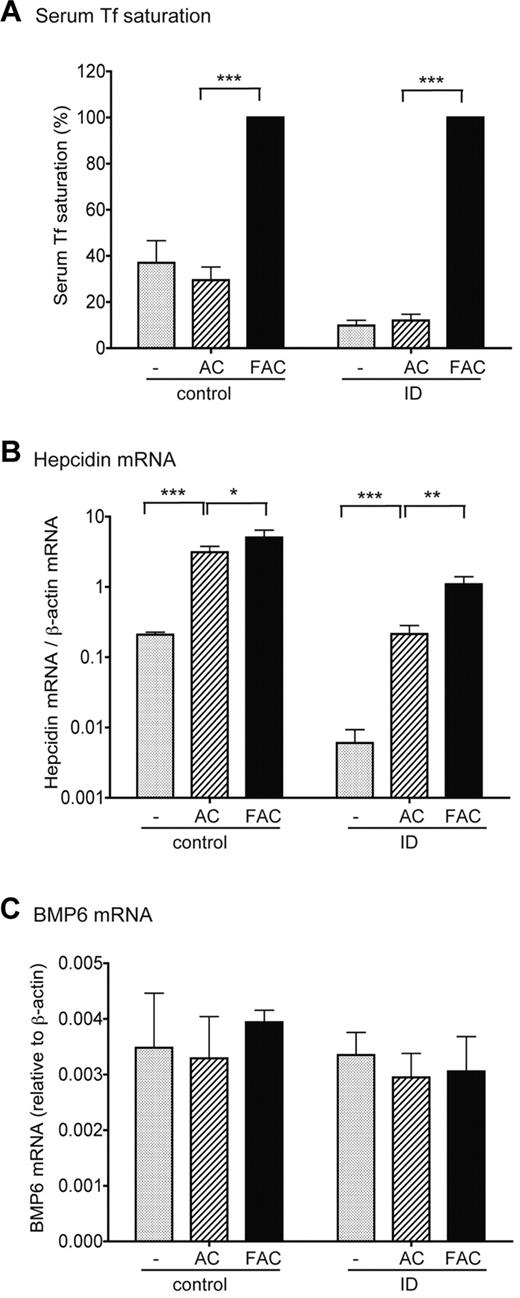 Figure 7. Induction of hepcidin expression in response to acute iron loading does not result from the increase of BMP6 mRNA expression. Weanling male rats were first fed a control diet (50 mg Fe/kg diet, group control) or were pair-fed an ID diet (< 2 mg Fe/kg diet, group ID) for 3 days. Animals in each category were then divided into 3 groups. One group (−) was euthanized immediately, whereas the other 2 groups were injected intraperitoneally with either FAC in phosphate-buffered saline at approximately 2.5 mg iron per 100 g of body weight or pair-injected with an equal amount of AC. The last 2 groups of animals were euthanized for analysis after 3 hours. (A) Serum Tf saturation in control and ID animals before injection (−) or after injection with AC or FAC. (B) qRT-PCR analysis of hepatic hepcidin mRNA in control and ID animals before injection (−) or after injection with AC or FAC. Liver tissues were collected from the same animals as described previously in panel A. Results are expressed as the amounts relative to β-actin. (C) qRT-PCR analysis of hepatic BMP6 mRNA in control and ID animals before injection (−) or after injection with AC or FAC. Liver tissues were collected from the same animals as described previously in panel A. Results are expressed as the amounts relative to β-actin. There are 4 animals per group. For all results shown previously, the mean values and the SD for each group are presented. The one-way analysis of variance and Tukey post test were used to compare the difference between groups. *P < .05; **P < .001; ***P < .001.