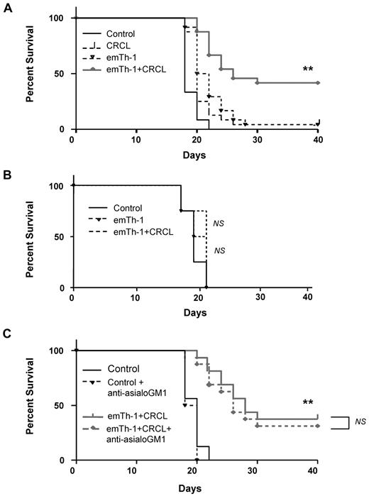 Figure 5. The combination of emTh-1 and CRCL vaccine improves the survival of mice with 12B1 leukemia. (A) Naive BALB/c mice were injected subcutaneously in the right groin with 5 × 103 12B1 cells on day 0. Animals (8 mice per group) were then administered via footpads on days 3, 7, and 14 with: PBS (Control), 12B1-derived CRCL (CRCL, 25 μg/mouse), emTh-1 lymphocytes (emTh-1, 1 × 105 cells/mouse), or a combination of CRCL plus emTh-1 (emTh-1 + CRCL). **P < .0001. (B) SCID mice were injected subcutaneously in the right groin with 5 × 103 12B1 cells on day 0 and were administered via the footpad on days 3, 7, and 14 with: PBS (control), emTh-1 cells (emTh-1), or the combination of emTh-1 cells plus CRCL (emTh-1 + CRCL). NS, nonsignificant. (C) Immunocompetent Balb/c mice were injected with tumor cells and treated with PBS or with the combination of emTh-1 plus CRCL (emTh-1 + CRCL) on days 3, 7, and 14. In some groups of mice, NK cells were depleted using anti-asialo GM1 antibodies (+anti-asialo GM1) intraperitoneally 25 μg/mouse on days −1, +3 and +5 as described in “Tumor growth in vivo and combination immunotherapy.” In all of the experiments, survival of mice was monitored every other day and is depicted using Kaplan-Meier analysis. NS, nonsignificant; **P < .0001.