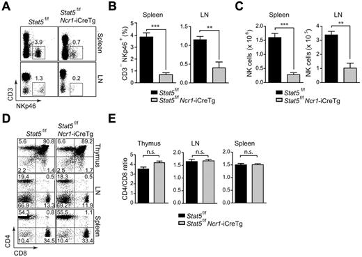 Figure 3. NK cells are severely reduced in Stat5f/f Ncr1-iCreTg mice. Deletion of Stat5 results in severely diminished NK-cell numbers. (A,D) Flow cytometry of Stat5f/f Ncr1-iCreTg mice and littermate controls. Dot plots indicate the percentage of (A) peripheral NK cells (CD3−NKp46+) and (D) CD4 and CD8 expression on cells from various lymphoid organs. Cells were gated on total thymocytes (top panel), CD3+ lymph node cells (middle panel), and CD3+ splenocytes (bottom panel). (B) Bar graphs show the percentage of peripheral NK cells (CD3−NKp46+). (C) Bar graphs show the total splenic (left) and lymph node (right) NK-cell numbers. (E) Bar graphs show the CD4-to-CD8 ratio of total thymocytes (left panel), CD3+ lymph node cells (middle panel), and CD3+ splenocytes (right panel). (A,D) Data are representative of 3 independent experiments (n ≥ 4 per genotype). (B,C,E) n ≥ 5 per genotype.