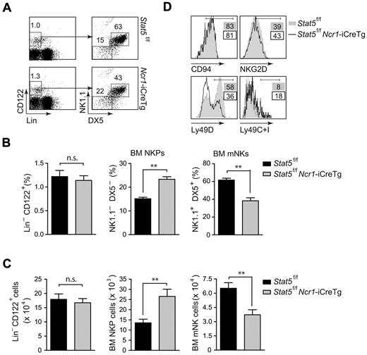 Figure 5. STAT5 is required for early NK-cell development in the bone marrow. (A) Flow cytometry of Stat5f/f Ncr1-iCreTg mice and littermate controls. Representative dot plots indicate the percentage of gated Lin−CD122+ NKPs (DX5−NK1.1−) and gated Lin−CD122+ mNKs (DX5+NK1.1+) cells. (B) Bar graphs show the percentage of Lin−CD122+ cells, NKPs (DX5− NK1.1−, gated on Lin−CD122+), and mNKs (DX5+ NK1.1+, gated on Lin−CD122+) in the bone marrow (n = 8 STAT5f/f; n = 7 STAT5f/f Ncr1-iCreTg, **P = .0014, Mann Whitney U test). (C) Bar graphs show absolute cell number of Lin−CD122+ cells, NKPs, and mNKs in the bone marrow (n = 8 STAT5f/f; n = 7 STAT5f/f Ncr1-iCreTg, **P = .0014, Mann Whitney U test). (D) Histograms show the expression of indicated differentiation markers as percentages. (A-D) Data are representative of at least 3 independent experiments. (D) n ≥ 4 per genotype.