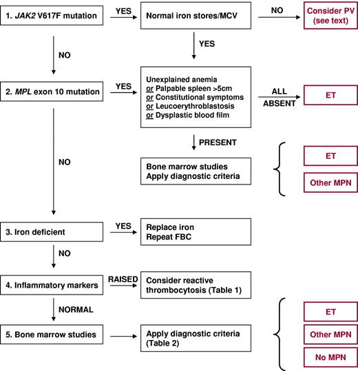 Figure 1. Algorithm for the investigation and diagnosis of thrombocytosis. ET indicates essential thrombocythemia; FBC, full blood count; MCV, mean cell volume; MPN, myeloproliferative neoplasm; and PV, polycythemia vera.