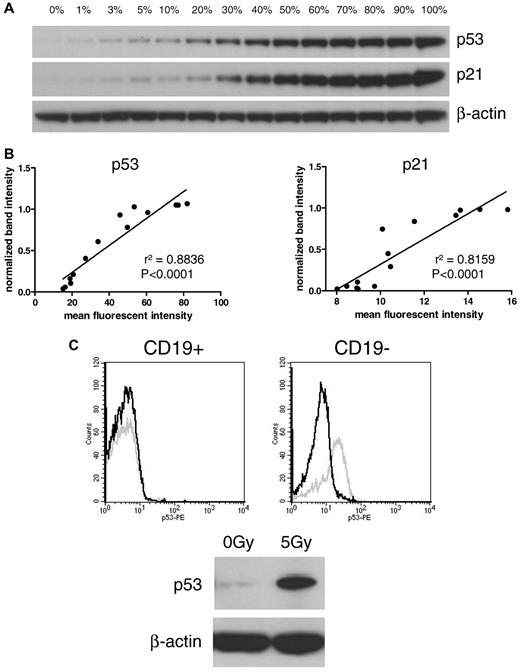Figure 1. Comparison of Western blot and FACS assay. (A) Dilution series of treated and untreated CLL cells on Western blot. Irradiated (5 Gy; 100%) cells were mixed with nonirradiated (0%) cells. (B) The intensity of the Western blot bands was quantified and compared with mean fluorescent intensities of the FACS assay. Linear regression shows a high correlation between both methods (left panel: p53, r2 = 0.8836; right panel: p21, r2 = 0.8159). (C) Discrimination between CD19-positive CLL cells and CD19-negative cells in the FACS assay is shown in an exemplary sample. The Western blot shows induction of p21 and p53. In the dissection of the contributing cellular component by FACS (CD19, p21, p53), it is clear that CLL cells showed impaired p53 up-regulation, whereas CD19-negative cells induced p53 after irradiation. Black line, p53 expression of nonirradiated sample; gray line, p53 expression of irradiated sample.