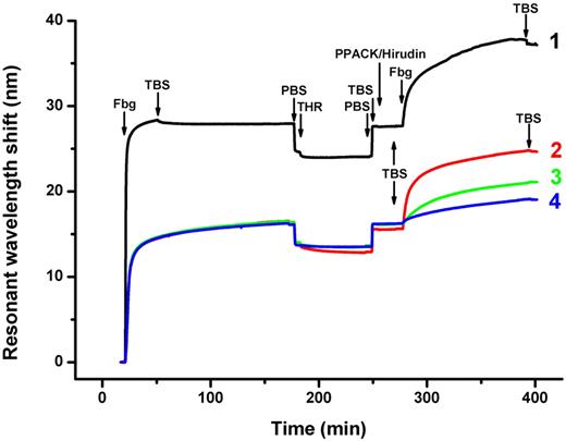 Figure 2. SPR-observed adsorption of primary and secondary fibrinogen layers. A primary layer was formed by the adsorption of fibrinogen onto the gold surface, followed by washing with TBS and PBS; a secondary fibrinogen layer was formed by the immobilization of fibrinogen onto the primary layer, which was treated with thrombin to convert the adsorbed fibrinogen into fibrin. Arrows indicate the replacement of solutions. Curve 1, fibrinogen (Fbg) 500 μg/mL, TBS, PBS; thrombin 2.5 U/mL (THR), PBS, TBS; mixture of PPACK 10μM and hirudin 6 U/mL, TBS; fibrinogen 200 μg/mL, TBS. Curve 2, fibrinogen 20 μg/mL, TBS, PBS; thrombin 2.5 U/mL, PBS, TBS; PPACK 10μM, hirudin 6 U/mL, TBS; fibrinogen 200 μg/mL, TBS. Curve 3, fibrinogen 20 μg/mL, TBS, PBS, TBS; fibrinogen 200 μg/mL, TBS. Curve 4, fibrinogen 20 μg/mL, TBS, PBS; thrombin 2.5 U/mL, PBS, TBS; PPACK 10 μM and hirudin 6 U/mL, TBS; fibrinogen 20 μg/mL, TBS.