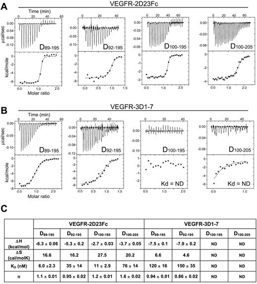 Figure 5. Thermodynamic analysis of VEGF-D interactions with VEGFR-2 and VEGFR-3. (A) Calorimetric titrations of the 4 VEGF-D (Cys117Ala) variants (D89-195, D92-195, D100-195, and D100-205) to the Fc-tagged VEGFR-2D23. (B) Titration of the 4 VEGF-D variants with VEGFR-3D17. (C) Summary of the enthalpy change (ΔH ± SD), entropy change (ΔS), binding affinities (Kd ± SD), and stoichiometry (n) of the ITC binding experiments. ND indicates not determinable.