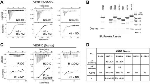 Figure 6. Characterization of the VEGF-D binding domains in VEGFR-3. (A) Thermodynamic analysis of the Fc-tagged VEGFR-3D1-3 (domains 1-3) interactions with the VEGF-D (Cys117Ala) variants D89-195, D92-195, and D100-195. The binding affinities (Kd) are indicated. ND indicates not determinable. (B) VEGF-D D92-195 complexation with soluble, Fc-tagged VEGFR-2 domains 2 and 3 (R2D23), VEGFR-3 deletion mutants (R3D1-R3D123), and VEGFR-1-D1/VEGFR-3-D2 (R1/3D12) chimera. SDS-PAGE analysis of protein A pull-down assays is shown with Coomassie Blue staining. (C) Representative thermodynamic titrations of the VEGFR-3 deletion mutants (R3D2 and R3D12) and the VEGFR-1/VEGFR-3 (R1/3D12) chimera with VEGF-D D92-195. (D) Summary of the VEGF-D D92-195 binding experiments with Fc-tagged VEGFR-3 deletion mutants and the VEGFR-1/VEGFR-3 (R1/3D12) chimera. The enthalpy change (ΔH ± SD), entropy change (ΔS), binding affinity (Kd ± SD), and stoichiometry (n) of the thermodynamic binding experiments are shown. ND indicates not determinable.
