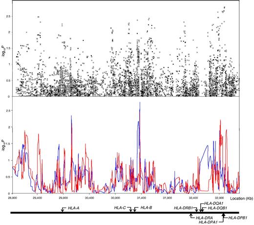 Figure 3. Association between SNPs and haplotypes mapping to 6p21 and BCP-ALL risk. The x-axis represents the position of each SNP; and the y-axis, P values on a minus logarithmic scale. Cochran-Armitage trend test statistics are shown in black for directly genotyped SNPs and grey for imputed SNPs in the top panel. Lines in the bottom panel correspond to haplotype test statistics: blue defined by 5 SNPs and red by 12 SNPs. Relative positions of the major HLA genes are also shown. Chromosomal coordinates derived from the National Center for Biotechnology Information, build 36.
