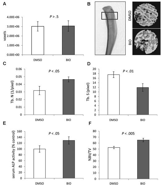 Figure 1. Effect of systemic BIO administration compared with vehicle (DMSO) on murine proximal tibial bone parameters as measured by μCT. (A) Mean volume of the ROIs analyzed to confirm comparability between groups. (B) The 3-dimensional μCT rendering (right) of a control proximal tibia with ROI (left). The 3-dimensional reconstruction of ROIs from binary images (right). (C) Mean Tb N. (D) Mean Tb Sp. (E) Relative serum ALP activity. (F) Mean percentage of BV/TV. Statistics analyzed by Student t test for n = 10 mice per group; experiment was performed twice.