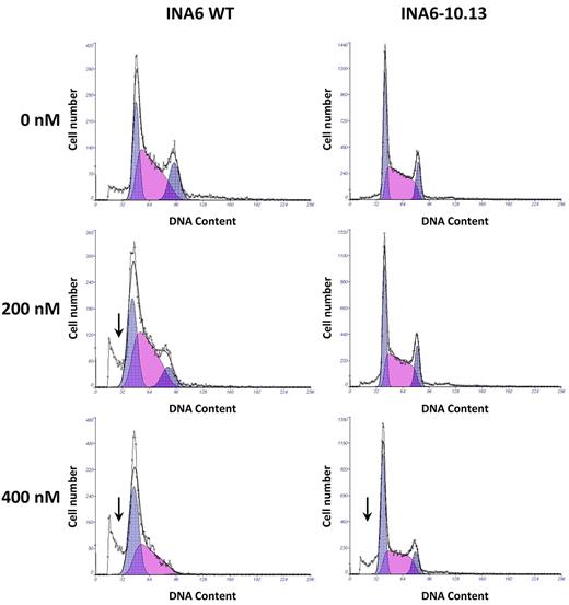 Figure 7. Effect of BIO on cell cycle of INA6 MM cells in vitro. Cell-cycle analysis of INA6-WT and INA6-10.13 cells exposed to various concentrations of BIO for 72 hours. At higher concentrations, a significant sub-G1 peak is evident (arrow), demonstrating dead cell debris. Note the loss of the G2 population. Experiment was performed twice independently.