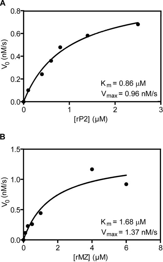 Figure 5. Determination of kinetic constants governing the cleavage of rP2 and rMZ by prothrombinase assembled on the activated platelet membrane. Prothrombinase assays were performed as described in Figure 3. Reaction mixtures contained 2 × 107/mL thrombin-activated platelets, equimolar concentrations of added plasma-derived factors Va and Xa (5nM), and various concentrations of rP2 (A) or rMZ (B). Subsequent to initiation of the reaction, aliquots were removed at timed intervals and analyzed by SDS-PAGE followed by densitometric analyses of protein bands visualized by phosphorimaging. The initial rates of cleavage of the variants were plotted as a function of the substrate concentration. Substrate consumption was less than 10% under all conditions. The data were fit to the Michaelis-Menten equation using GraphPad Prism software v5.0. The data shown, including the calculated Km and Vmax values, are from one of 2 platelet donors and are representative of experiments performed using platelets from both persons.
