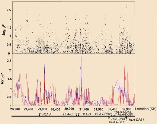 Association between SNPs and haplotypes mapping to 6p21 and BCP-ALL risk. The x-axis represents the position of each SNP; the y-axis, P values on a minus logarithmic scale. Cochran-Armitage trend test statistics are shown in black for directly genotyped SNPs and in gray for imputed SNPs in the top panel. Lines in the bottom panel correspond to haplotype test statistics: blue defined by 5 SNPs and red by 12 SNPs. Relative positions of the major HLA genes are also shown. Chromosomal coordinates were derived from the National Center for Biotechnology Information, build 36. See the complete figure in the article by Hosking et al beginning on page 1633.