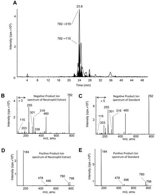 Figure 1. Structural identification of m/z 782 as 16:0a/5-HETE-PC with the use of MS/MS. (A) Negative LC/MS/MS of m/z 782→319 and 782→115 from ionophore-activated neutrophil lipid extract. (B) Negative MS/MS spectrum of m/z 782 at 23.8 minutes from neutrophil lipid. (C) Negative MS/MS spectrum of m/z 782 generated by 5-LOX oxidation of 16:0a/20:4-PC, eluting at 23.8 minutes. (D) Positive MS/MS of m/z 782, eluting at 23.8 minutes from neutrophil lipids. (E) Positive MS/MS of m/z 782 generated by 5-LOX oxidation of 16:0a/20:4-PC, eluting at 23.8 minutes.