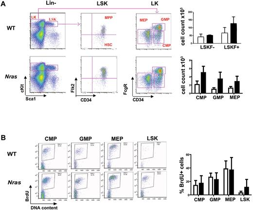 Figure 3. Effects of NrasG12D expression on hematopoietic stem cell and myeloid progenitor populations. (A) Flow cytometric analysis was performed on 3 months old F1 WT (open bars) and Mx1-Cre, NrasG12D (solid bars) bone marrow that were stained with a combination of cell surface markers to characterize HSC, MPP, CMP, GMP, and MEP populations. The absolute numbers of cells in each compartment were calculated using an established formula that estimates that 2 femurs and 2 tibiae contain 20% of total nucleated bone marrow cells.23 P values for LSKF+, CMPs, GMPs, and MEPs are .0578, .0166, .0272, and .0665, respectively. (B) BrdU incorporation by hematopoietic cells enriched for myeloid progenitor activity (CMPs, GMPs, and MEPs as sorted in panel A) and for HSCs (LSK as sorted in panel A) from 3-month-old F1 WT (open bars) and Mx1-Cre, NrasG12D (solid bars) bone marrow. P value for LSK is .0596.