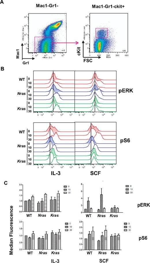 Figure 5. Cytokine-induced activation of Ras effectors in Mx1-Cre, NrasG12D myeloid cells. (A) The Mac1−Gr1lowcKit+ gate was used to enrich for immature myeloid lineage cells. (B) Levels of phosphorylated ERK and S6 (pERK and pS6) were assayed in 3-month-old F1 WT, Mx1-Cre, NrasG12D, and Mx1-Cre, KrasG12D cells before and after stimulation with a saturating dose of IL-3 (50 ng/mL) or SCF (100 ng/mL) for 10 and 30 minutes. The vertical line in each panel indicates the basal level of protein phosphorylation in unstimulated WT cells. (C) Levels of pERK and pS6 were quantitated by median fluorescence signal from pFACS in panel B and compared with WT basal level, which was assigned a value of 1.