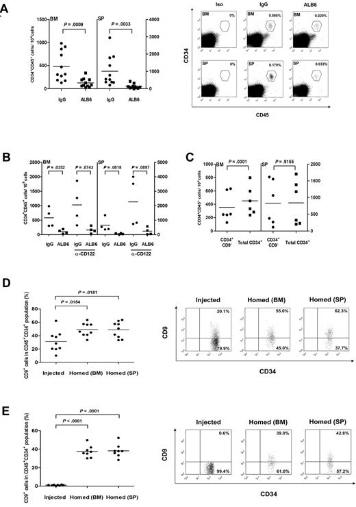 Figure 5. The role of CD9 on homing of cord blood CD34+ cells in NOD/SCID mice. (A) Cord blood CD34+ cells were cultured in the presence of an anti-CD9 mAb (ALB6; 10 μg/mL) or an isotypic mAb (IgG; 10 μg/mL) for 4 hours, and injected intravenously into NOD/SCID mice (1.9 × 105 to 5 × 105 cells per mouse). Bone marrow (BM) and spleens (SP) of recipient mice were analyzed for the presence of human CD45+CD34+ cells by flow cytometry 20 hours after transplantation (n = 11). P values are indicated. Right panel, representative flow cytometry analysis plots of human cell detection in BM and SP samples of transplanted mice. BM and SP samples from a mouse stained with isotypic antibodies (Iso) are also presented. The gates used for identification of human CD45+CD34+ cells and the frequency of human cells are indicated. (B) CD34+ cells were pretreated with IgG or ALB6, and transplanted into anti-CD122 (α-CD122)-treated or untreated NOD/SCID mice (n = 4). (C) Sorted CD34+CD9− or total CD34+ cells (8.7 × 104 to 2.1 × 105 cells/mouse) were transplanted into NOD/SCID mice (n = 6). Homing level of each population was determined by flow cytometry. (D,E) CD9 expressions in (D) total CD34+ cells (n = 9) or (E) sorted CD34+CD9− cells (n = 8) before injection were compared with those homed to BM and SP in NOD/SCID mice. Right panels, representative dot plots showing CD9 expression on injected and homed CD34+ cells. The percentage of cells in each quadrant is depicted.