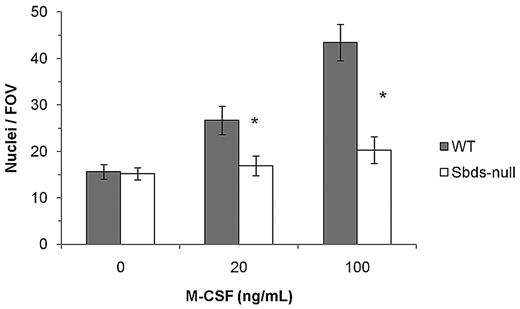 Figure 2. Sbds ablation results in decreased monocyte migration. Migration of monocytes was evaluated in a Boyden chamber assay and 2 concentrations of M-CSF as a chemoattractant. Sbds-null monocytes migrated significantly less versus WT monocytes at both 20 and100 ng/mL M-CSF (n = 5): *P < .01.