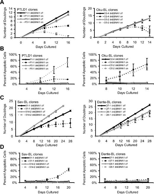 Figure 1. Phenotypes that emerge as EBV is evicted from tumor cells. The growth and survival of tumor cell populations were tracked over time as EBV was evicted. Dashed lines represent cells in which dnEBNA1 remains induced; and solid lines, cells in which dnEBNA1 is uninduced. (A) Growth curves of PTLD1 and Oku-BL clones. The average number of doublings from at least 3 independent experiments ± SD is shown. (B) PTLD1 and Oku-BL clones were assayed for the induction of apoptosis by staining cells with a fluorescently labeled peptide that is specifically bound by active caspases (APO LOGIX, Cell Technologies). For each time point, at least 200 cells were analyzed. The average percentage of apoptotic cells from at least 3 independent experiments plus or minus SD is shown. (C) Growth curves of Sav-BL and Dante-BL clones as measured in panel A. One of 3 S14-2 growth curves was halted at 20 days. (D) Apoptotic assays of Sav-BL and Dante-BL clones as measured in panel B. For clone S14-2, day 20 is the average of 2 independent experiments ± SD.