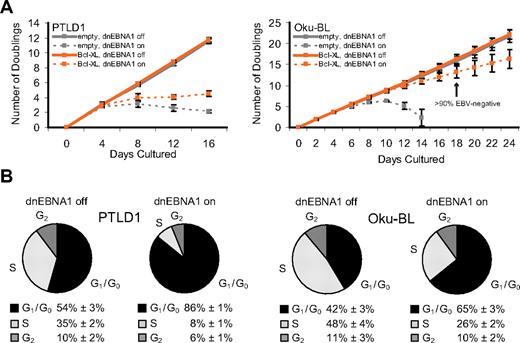 Figure 3. Oku-BL and PTLD1 tumor cells differ in their dependence on EBV for proliferation. (A) The growth of tumor cell populations was measured over time as EBV was evicted. Dashed lines represent cells in which dnEBNA1 remain induced; solid lines, cells in which dnEBNA1 is uninduced. (Left graph) PTLD1 cells (clone P5-1 only shown) transduced with a control vector (gray lines) or a Bcl-XL expression vector (orange lines). (Right graph) Oku-BL cells (clone O2-4 only shown). The percentage of EBV-negative Oku-BL cells was determined by fluorescence in situ hybridization analysis. The average number of doublings from at least 3 independent experiments plus or minus SD is shown. (B) The percentage of cells in each stage of the cell cycle was determined by propidium iodide staining and fluorescence-activated cell sorting analysis. Cells transduced with a Bcl-XL expression vector were analyzed 20 days (Oku-BL) or 12 days (PTLD1) after induction of dnEBNA1 (the cell populations marked in orange). The average of 3 independent experiments ± SD is shown.