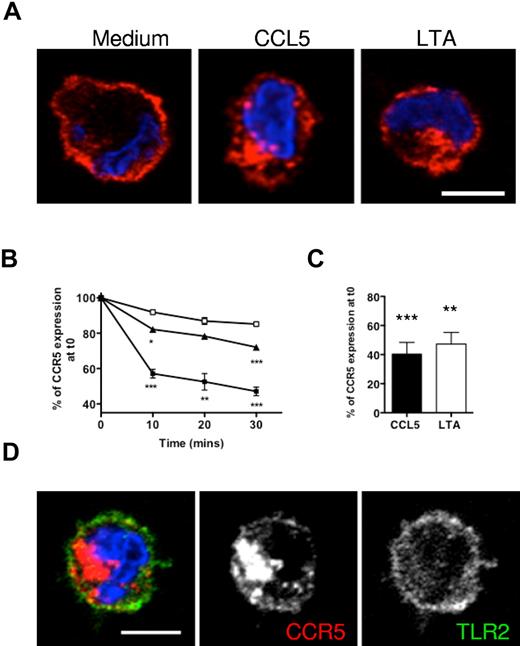 Figure 5. LTA induces slow internalization of cell-surface CCR5 molecules. Monocytes were preincubated on ice with MC-5 to label cell-surface CCR5 molecules before being transferred to 37°C for internalization assays. (A) The distribution of MC-5–labeled receptors after 1 hour of treatment was assessed by microscopy on fixed and permeabilized cells stained with a fluorescent secondary antibody (red) and DAPI (blue). (B-C) Internalization of labeled receptors was assessed by flow cytometry by measurement of cell-surface MC-5 fluorescence intensity on monocytes incubated for ≤ 30 minutes (B) in medium alone (□), with 100nM CCL5 (■), or 10 μg/mL LTA (▴), or an hour (C). Average CCR5 internalization values were determined from the results of 3 independent duplicate experiments; *P < .05, **P < .01, and ***P < .005. (D) MC-5–prelabeled LTA-treated cells were costained for TLR2. Single confocal sections are shown (scale bar = 5 μm).