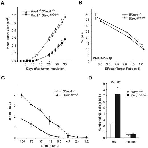 Figure 5. Blimp1 controls the proliferative potential of NK cells. (A) Rag2−/−Blimp1+/+ or Rag2−/−Blimp1gfp/gfp mice, generated as described in Figure 3C, were injected subcutaneously with 5 × 105 RMAS cells. Tumor growth was measured and is presented as mean tumor size ± SEM. Results are representative of 3 independent experiments, each with 4-7 mice per group. (B-C) Wild-type (Ly5.1+) or Blimp1gfp/gfp (Ly5.2+) TCRβ−NK1.1+CD49b+ NK cells were sorted from the spleens of mixed bone-marrow chimeric mice, generated as described in Figure 3D, and either subjected to an ex vivo killing assay using RMAS-Rae1β target cells (B) or cultured in titrated amounts of IL-15 as indicated (C). Proliferation was measured 48 hours later. Data in (B) and (C) are the means of triplicate measurements ± SEM. (D) Purified wild-type (Ly5.1+) or Blimp1gfp/gfp (Ly5.2+) TCRβ−NK1.1+CD49b+ NK cells were cultured in IL-15 for 7 days before being mixed at a 1:1 ratio (total 2 × 106 cells), injected into Rag2−/−γc−/− hosts, and analyzed after 6 days by flow cytometry. Total numbers of the NK-cell population in spleen and total bone marrow (BM) are shown as the means ± SEM. P values compare the indicated genotypes. Results are representative of 2-3 individual experiments