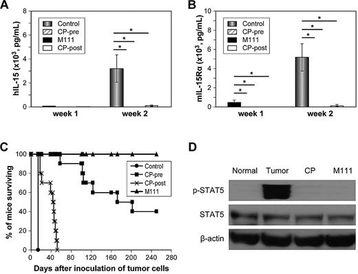 Figure 6. CP-690,550 showed therapeutic efficacy in a mouse model of B1 IL-15–transgenic CD8 T-cell leukemia that manifested an autocrine IL-15/IL-15Rα loop that acts through Jak3/STAT5. (A) Serum levels of human IL-15 from the human IL-15–transgenic CD8 T-cell leukemia–bearing mice after inoculation of tumor cells. (B) Serum levels of mouse IL-15Rα from the IL-15–transgenic CD8 T-cell leukemia–bearing mice after inoculation of tumor cells. (C) Kaplan-Meier analysis demonstrating CP-690,550 prolongation of the survival of mice bearing the IL-15–transgenic CD8 T-cell leukemia. Mice in the control group received PEG300 by subcutaneous pump for 14 days. Mice in the CP-690,550-pre group (CP-pre) received a pump infusion with CP-690,550 at 30 mg/kg/d for 14 days that was placed into the mice 2 days before tumor cell inoculation. Mice in the CP-690,550-post group (CP-post) received a pump infusion with CP-690,550 at 30 mg/kg/d for 14 days that was placed into the mice 1 day after inoculation of the leukemic cells. Mice in the anti–human IL-15 monoclonal antibody M111 group received M111 at 100 μg intraperitoneally weekly for 2 weeks starting at 3 days after inoculation of the leukemic cells. (D) CP-690,550 inhibited the phosphorylation status of Jak3/STAT5 in splenocytes from IL-15–transgenic CD8 T-cell leukemia–bearing mice. Mice in the tumor-only group received PEG300 by a subcutaneous pump for 14 days. Mice in the CP-690,550 group (CP) received a pump infusion with CP-690,550 at 30 mg/kg/d for 14 days that was placed into the mice 1 day after inoculation of the leukemic cells. Mice in the M111 group received M111 at 100 μg intraperitoneally weekly for 2 weeks starting at 3 days after inoculation of the leukemic cells. Mice in the normal group (no tumor, no treatment) were used as a control. The splenic cells were separated 13 days after tumor cell inoculation and checked for the phosphorylation status of STAT5. *P < .00001.