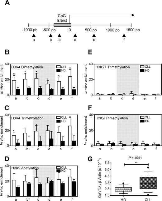 Figure 3. ChIP analysis of histone modifications within the Aiolos promoter in CLL and normal B cells. (A) Schematic representation of the Aiolos locus. CpG island is represented by a gray box, and the arrows indicate the positions of the primer pairs used to analyze chromatin remodeling at Aiolos promoter. (B-F) ChIP analysis of H3K4 dimethylation (B), H3K4 trimethylation (C), H3K9 acetylation (D), H3K27 trimethylation (E), and H3K9 trimethylation (F) in B cells from HD (black bars) and CLL patients (white bars). qPCR was performed with primers a-f. The gray portions of the graphs correspond to the CpG island. The graph shows the average percent immunoprecipitation with SEM for 8 HD and 14 CLL patients (P1, P2, P17-P28) calculated for each position. (G) Quantitative analysis of SMYD3 mRNA levels in 14 HD and 16 CLL patients (P1, P2, P8, P17, P20-P23, P25, P26, and P28-P33). Data are expressed as normalized expression by use of the 2−ΔCT calculation method (Ct indicates cycle threshold) and β-actin as reference gene. Differences between groups were tested by use of Mann-Whitney U test (Prism5.0c software; *P < .05; **P < .01; ***P < .001).