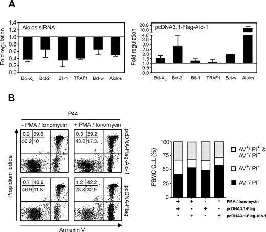 Figure 6. Effect of Aiolos on apoptosis in B cells from CLL patients. (A) Influence of Aiolos knockdown and Aiolos overexpression on antiapoptotic gene expression analyzed by qRT-PCR and normalized by use of the 2−ΔCt calculation method (Ct indicates cycle threshold) and β-actin as reference gene. Results are expressed as fold down- or up-regulation of transfected cells by pcDNA3.1-Flag-Aio-1 vector or Aiolos siRNA compared with transfected cells by pcDNA3.1-Flag vector or nontargeting negative control siRNA, respectively. The histograms represent the mean ± SD of genes down-regulation (n = 3, left) or up-regulation (n = 2, right). (B) PMA/ionomycin-induced cell death assayed by AV/PI double staining and flow cytometry. B cells from CLL patients transfected with pcDNA-Flag-Aio-1 or pcDNA-Flag vector. Eighteen hours after transfection, cells were stimulated by PMA and ionomycin (10 ng/mL and 1 μg/mL) for 8 hours before apoptosis analysis. Representative dot plots show AV/PI staining on B cells from patient P44. Percentages of viable (AV−/PI−), apoptotic (AV+/PI−), secondary apoptotic/necrotic (AV+/PI+), and necrotic (AV−/PI+) populations are indicated (left). The histograms represent the mean proportions of AV−/PI−, AV+/PI−, AV+/PI+, and AV−/PI+ cells obtained with cells from 5 patients (P37-39, P43, P44; right).