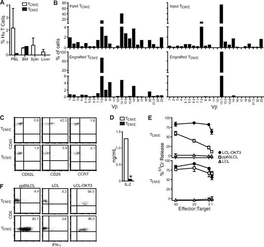 Figure 4. Human CD8+ TCM/E persist long-term (100 days) in huIL-15 NOG mice and remain functional. TCM/E and TEM/E (107) were injected intravenously at day 0, and irradiated NS0-IL-15 cells (1.5 × 107) were administered 3 times a week starting at day 0, until mice were killed at day 100. (A) Mean percentage of human CD45+CD8+ cells (± SE) in mouse PBL, bone marrow, and spleen at day 100 was determined by flow cytometry (n = 5). (B) TCR Vβ repertoire of the input and long-term engrafted TCM/E and TEM/E. Bone marrow was pooled from mice, and human CD45+ cells were sorted and expanded by stimulation with anti-CD3. The percentage of CD3+ cells positive for the indicated TCR Vβ genes was determined by flow cytometry. (C) Bone marrow harvested at day 100 from mice engrafted with TCM/E and TEM/E was analyzed by flow cytometry for expression of human CD45, CD62L, CCR7, and CD28. Gating was based on staining with isotype control mAb, and the percentage of double-positive cells is indicated. (D) IL-2 production from CD45+ T cells derived from day 100 bone marrow of mice engrafted with TCM/E and TEM/E. Supernatants were collected after T cells were coincubated overnight with LCL-pp65, and IL-2 levels were determined using cytometric bead array. (E) Cytotoxic activity of human T cells derived from day 100 bone marrow of mice engrafted with TCM/E and TEM/E, and stimulated with anti-CD3 mAb. Target cells included OKT3-expressing LCLs, auto-LCLs or LCL-pp65. Mean percentage of 51Cr release (± SD) of triplicate wells. (F) Intracellular IFN-γ staining of human T cells derived from day 100 bone marrow of mice engrafted with TCM/E and TEM/E and coincubated overnight with LCL-pp65, LCL-OKT3, or auto-LCLs.