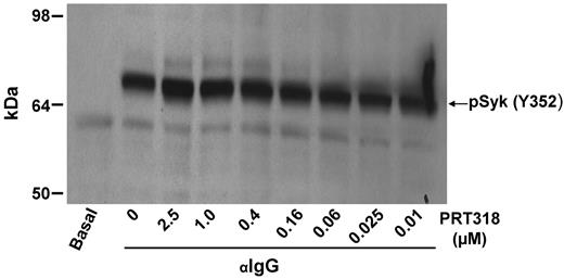 Figure 1. DHL4 B cells were preincubated with PRT318 at concentrations indicated for 1 hour before activation with 5 μg/mL anti-IgG for 30 minutes. Lysates underwent sodium dodecyl sulfate-polyacrylamide gel electrophoresis and were transferred to nitrocellulose membranes. Blots were probed with rabbit anti–phospho-SYK(Y352). The blot shown is representative of 2 independent experiments.