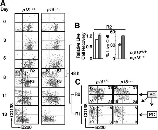 Figure 3. p18 is required within B cells for differentiation of iPCs to PCs. (A) Differentiation of polyclonal PCs from resting B cells in vitro. p18+/+ and p18−/− iPCs and PCs were sorted on day 8 and cultured separately for 48 hours with MC3T3 stromal cells. (B) The recovery of live p18−/− iPCs relative to p18+/+ iPCs (left) and the percentage of live cells (right) (C) FACS analysis of sorted p18+/+ and p18−/− PCs and iPCs after 48 hours in coculture. Percentage of cells in each quadrant is indicated.