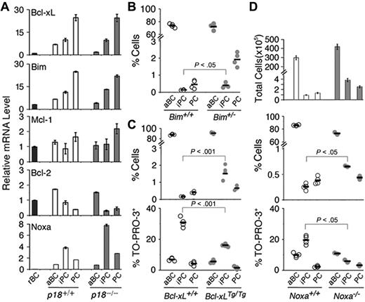 Figure 5. Regulation and role of Bcl-xL, Bim, and Noxa in PC differentiation. (A) qPCR analysis of mRNA levels in sorted p18+/+ and p18−/− populations on day 7 after NP-CGG immunization. (B) Percentage of live aBCs, iPCs, and PCs in individual Bim+/+ and Bim+/− mice (P < .05, n = 4). (C) Percentage of live and TO-PRO-3+ aBCs, iPCs, and PCs in individual Bcl-xL+/+ and Bcl-xLTg/Tg mice (P < .001, n = 4); and (D) Total live aBCs, iPCs, and PCs in each spleen and percentage of live and TO-PRO-3+ cells in Noxa+/+ and Noxa−/− mice (P < .05, n = 4).