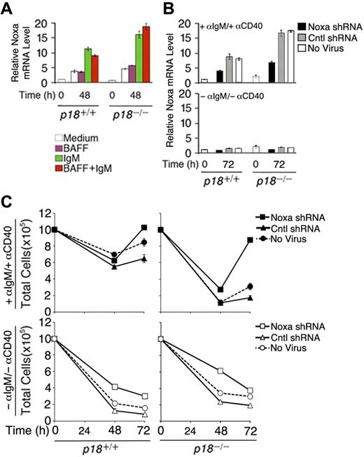 Figure 6. Noxa mediates cell-cycle control of apoptosis. (A) qPCR analysis of relative Noxa mRNA in p18+/+ and p18−/− rBCs (A) before and after stimulation with BAFF or anti-IgM for 48 hours and (B) before and after stimulation with anti-IgM and anti-CD40 for 72 hours and infection with a Noxa shRNA- or nonsense shRNA (Cntl)-expressing retrovirus or left uninfected. (C) Total live cells from cultures in panel B at 48 and 72 hours after shRNA-retrovirus infection.