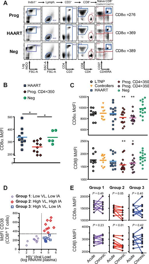 Figure 1. Naive CD8low T cells are prevalent in untreated HIV-infected human progressors. Cryopreserved PBMCs of HIV-negative and HIV-infected subjects in various stages of disease progression, viral control, and treatment were analyzed for cell-surface expression of the CD8α and CD8β chains in the naive pool of CD8+ T cells. 3 separate studies (study A, B, and C) were performed with samples from subjects of SCOPE and Options cohorts (see Table 1 and “Subjects” and supplemental Methods for more details and definitions of these groups). (A) FACS plot representing gating strategy, CD4 and CD8 expression in CD3+ T cells, and CD45RA and CD27 expression in CD8+ T cells (left to right panels). Naive (CD45RAhighCD27high) CD8+ T cells are shown from a subject with progressive disease (“Prog”), from a virologically suppressed subject (“HAART”) and from a HIV-negative subject (Neg) from study A (as indicated by the blue rectangle) with measurement of CD8α expression (MdFI). (B) CD8α expression (MdFI) in naive CD8+ T cells in all subjects from study A. (C) CD8α (top) and CD8β (bottom) expression in naive CD8+ T cell in all subjects from study B. (D) Grouping strategy of subjects in study C, based on viral load (“VL”) and immune activation (“IA” measured by CD38 expression) at approximately 12 months after infection. (E) Expression of CD8α (higher) and CD8β (lower) in naive CD8+ T cell over time, as measured in subjects at 3 and 12 months after infection (“acute” and “chronic,” respectively) from group 1 to 3 in study C (left to right). P values were calculated using the Mann-Whitney test for group analysis as indicated by the horizontal bar (B) or compared with HIV-Neg group when not indicated (C). The paired t test was used for longitudinal follow-up of the same subject (E). When the P value is not indicated on the graph, the symbols * and ** indicate that P < .05 or P < .005 for each test, respectively.