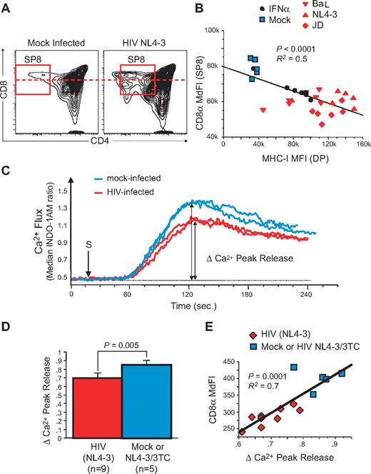 Figure 5. HIV infection generates dysfunctional CD8low SP CD8 thymocytes in the SCID-hu Thy/Liv mouse model. Saline, or 1000 50% tissue culture infective dose (TCID50) of X4-tropic (NL4-3), R5-tropic (Ba-L), or dual-tropic X4-R5 (primary isolate JD) HIV were inoculated into individual cohorts of 30-40 SCID-hu Thy/Liv mice each. In most cohorts, several groups were also treated with antiretroviral drugs (eg, 3TC). Viral load (HIV RNA content per million total cells) as well as phenotypic and functional parameters were measured by flow cytometry in human thymocytes from each implant 3 to 7 weeks after inoculation. (A) FACS plot of SP8 thymocytes in Mock- and HIV-infected human thymus. (B) Correlation between CD8α expression in SP8 thymocytes and MHC-I expression in double-positive (DP) thymocytes from individuals within the same cohort of HLA-A2+ SCID-hu Thy/Liv mice, including animals inoculated with medium (Mock), HIV NL4-3, Ba-L, or JD, and compared with IFNα treatment alone. (C-E) Calcium flux response after TCR/CD8 cross-linking in SP8 thymocytes from a cohort of SCID-hu Thy/Liv mice, 21 days postinoculation with NL4-3: representative calcium flux kinetic from 2 mock-infected (blue line) or 2 NL4-3-infected mice (red line). (C) Calcium flux peak responses in all animals (D) and correlation with CD8α expression in SP8 thymocytes (E). P values were calculated using the Mann-Whitney test for group analysis and by Spearman rank correlation for correlation test. R2 from the Pearson coefficient of correlation is also indicated.