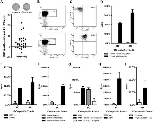 Figure 1. Spontaneous cytotoxic T-cell reactivity against IDO. Spontaneous T-cell reactivity against IDO5 (IDO199-207; ALLEIASCL) in PBMCs, from HLA-A2+ healthy donors (HD), visualized by IFN-γ enzyme-linked immunospot (ELISPOT) assay (A) and flow cytometry (B) after 1 in vitro peptide stimulation. For IFN-γ ELISPOT assay, PBMCs were plated at 4 × 105 PBMCs in duplicates in specialized ELISPOT wells either alone or with added IDO5 peptide. The average number of IDO5-specific spots (after subtraction of spots in wells without added peptide) was calculated per 4 × 105 PBMCs for each donor (black circles; A). For flow cytometry, IDO5-specific T cells were identified with the MHC-tetramer complex HLA-A2/IDO5 and CD8 monoclonal antibody (mAb). For comparison, cells were stained with the MHC-tetramer complex HLA-A2/HIV-1 pol476-484 and CD8 mAb (B). As control, an IDO5-specific T-cell clone was stained with the HLA-A2/HIV-1 pol476-484-PE and HLA-A2/IDO5-PE complexes (C). Lytic capacity of representative IDO5-specific T-cell clones from a healthy donor (HD) or a patient with breast cancer (BC) assayed by 51Cr-release assay. Target cells were TAP-deficient T2 cells pulsed with IDO5 or an irrelevant peptide (HIV-1 pol476-484; D), the HLA-A2+/IDO+ colon cancer cell line SW480 and the HLA-A2+/IDO− colon cancer cell line HCT116 (E), SW480 blocked with the HLA class I–specific mAb W6/32 (F), SW480 transfected with IDO ShRNA for down-regulation of IDO protein expression and SW480 transfected with control ShRNA as a positive control (F), the HLA-A2+/IDO+ melanoma cell line FM55M (G), FM55M added cold T2 cells pulsed with IDO5 peptide or irrelevant peptide (HIV-1 pol476-484) in a inhibitor-to-target ratio of 20:1 (G), autologous in vitro immatured and matured DCs (H), and ex vivo–isolated autologous IDO− CD14+ monocytes as well as IFN-γ–treated IDO+ CD14+ monocytes (I). All 51Cr-release assays were performed in effector-to-target ratio of 5:1, except the experiments regarding ShRNA, which were performed in effector-to-target ratio of 15:1. Data are mean ± SD (n = 3).