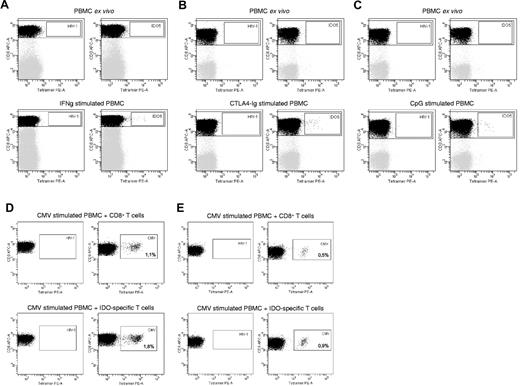 Figure 6. IDO-inducing agents expanded IDO-specific T cells with supporter functions. Example of reactivity against IDO5 (IDO199-207; ALLEIASCL) in PBMCs from an HLA-A2+ healthy donor, stimulated in vitro with IL-2 and IFN-γ. The percentage of IDO5-specific CD8+ T cells was identified by flow cytometry, ex vivo (top) and after stimulation (bottom), using the MHC-tetramer complex HLA-A2/IDO5 and CD8 monoclonal antibody (mAb). The data shown are from 1 donor, representative of 4 different donors (A). Examples of reactivity against IDO5 in PBMCs from a patient with HLA-A2+ renal cell carcinoma, stimulated in vitro with IL-2 and CTLA4-Ig (B) or CpG ODN (C). The percentage of IDO5-specific CD8+ T cells was identified by flow cytometry, ex vivo (top) and after stimulation (bottom), using the MHC-tetramer complex HLA-A2/IDO5 and CD8 mAb. The data shown are from 1 patient, representative of 2 different patients (B-C). PBMCs from an HLA-A2+ healthy donor stimulated in vitro with CMV pp65495-503 (NLVPMVATV) peptide and cocultured with either autologous, isolated CD8+ T cells (top) or autologous, isolated IFN-γ–induced IDO5-specific T cells (bottom). The percentage of CMV pp65495-503–specific CD8+ T cells in each culture was identified by flow cytometry with the MHC-tetramer complex HLA-A2/CMV pp65495-503 and CD8 mAb (D). PBMCs from an HLA-A2+ healthy donor stimulated with CMV IE1316-324 (VLEETSVML) peptide and cocultured with either autologous, isolated CD8+ T cells (top) or autologous, IDO5-specific T cells isolated after 2 in vitro peptide stimulations (bottom). The percentage of CMV IE1316-324–specific CD8+ T cells in each culture was identified by flow cytometry with the MHC-tetramer complex HLA-A2/ CMV IE1316-324 and CD8 mAb (E). In all experiments, cells were stained with the MHC-tetramer complex HLA-A2/HIV-1 pol476-484 and CD8 mAb for comparison.