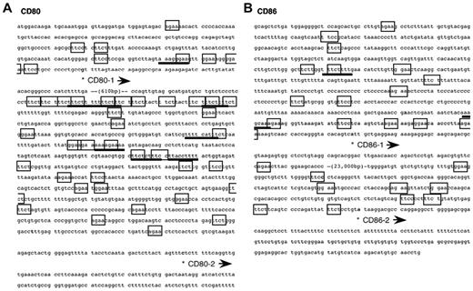 Figure 1. Nucleotide sequence of the mouse CD80 (A) and CD86 (B) promoters. The position of the transcription start site is marked by (*). In addition to the consensus Ets-family protein binding sequence (GGAA; boxed), AGAA25 (boxed) is also bound with PU.1. The IRF recognition sequence (AANNGAAA)–like is underlined. PU.1 binds genomic DNA via GGAA and AGAA as a monomer and GGAANNGAAA as a heterodimer with IRF4 or IRF8.54