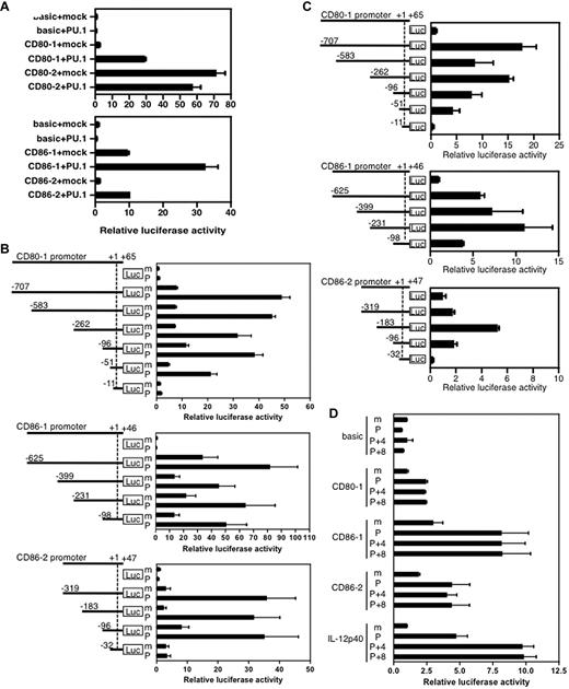 Figure 3. Transcriptional activity of the CD80 or CD86 promoter. (A) Effects of PU.1 on each promoter. (B) Reporter assay with deletion constructs to identify PU.1-responsive elements. CV-1 cells were transfected with 2 μg of reporter plasmid, 2 μg of expression plasmid, and 2 ng of pRL-CMV (Promega) as an internal control of transfection efficiency. After 24 hours of culture, cells were harvested, luciferase activity was measured, and relative luciferase activity was calculated as described previously.24 m, co-expression of mock (pCR-3.1); P, co-expression of PU.1 (pCR-PU.1). (C) Transcriptional activity of the CD80 or CD86 promoter in hematopoietic cells. J774 cells were transfected with 2 μg of reporter plasmid and 125 ng of pRL-null. (D) Effects of IRF4/8 on transactivation activity of PU.1. CV-1 cells were transfected with 2 μg of reporter plasmid, a total of 2μg of expression plasmid (adjusted with mock vector as in our previous study25), and 125 ng of pRL-null. CD80-1 (−51/+65), CD86-1 (−98/+46), CD86-2 (−96/+47), and IL12 p40 (−315/+14) were used. m, pCR-3.1; P, pCR-PU.1; 4, pCR-IRF4; 8, pCR-IRF8. Relative luciferase activity is represented as the ratio of activity to that of pGL4-Basic (C) with pCR3.1-mock (A, B, D). Data represent the mean + SD of triplicate samples. A representative result of 3 independent experiments is shown.