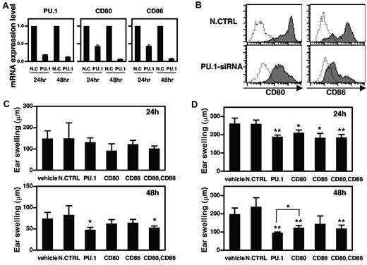 Figure 6. Suppression of CD80 and CD86 expression and CHS by PU.1 siRNA. Murine BMDCs were transfected with 2 μg of PU.1 siRNA or negative control siRNA (N.CTRL; A-B). (A) After a 24- or 48-hour culture, total RNA was extracted from each transfectant, and the amounts of PU.1, CD80, CD86, and β-actin mRNAs were analyzed by ABI7500. PU.1, CD80, and CD86 mRNA levels are represented as a ratio relative to those in negative controls. Results are expressed as means + SD for 3 PCRs performed in duplicate. (B) After a 48-hour culture, cells were harvested and subjected to analysis for CD80 or CD86 by flow cytometry. Solid line histogram represents cells with each antibody. Dotted line histogram represents negative control with 2.4G2 alone. Representative results of 3 independent experiments are shown. CHS against TNCB was induced as described in “Introduction of contact hypersensitivity and treatment with siRNA” (C-D). Nonsilencing control (N.CTRL), PU.1 siRNA, CD80 siRNA, CD86 siRNA, or a CD80/CD86 siRNA combination mixed with a cream-based ointment was applied (C), or each siRNA was subcutaneously injected (D) and the ear was challenged with TNCB. Ear swelling was measured at 24 and 48 hours after challenge. Sterile water mixed with the cream-based ointment was used as a control (vehicle, C). Diethylpyrocarbonate-treated water was subcutaneously injected as a control (vehicle, D). Data are representative of 2 or 3 independent experiments (n = 4∼6) and significant differences from the nonsilencing control siRNA group (*P < .1; **P < .01) were observed. Forty-eight hours after the challenge, ear swelling in the PU.1 siRNA group was significantly reduced compared with the CD80 siRNA group (*P < .05).