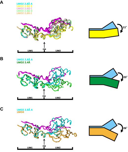 Figure 3. Structural superimposition of LMO2:LDB1-LID molecules and LMO4:LDB1-LID. Superimpositions are done on the first LIM domain, and the LID domain is colored in magenta. (A) Superimposition of the 5 LMO2:LDB1-LID molecules present in the asymmetric unit of the C2 space group. (B) Superimposition of LMO2:LDB1-LID from the C2 space group (cyan, molecule A) and LMO2:LDB1-LID from the P21 space group (green). (C) Superimposition of LMO2:LDB1-LID (C2 space group, cyan, molecule A) on LMO4:LDB1-LID (yellow).