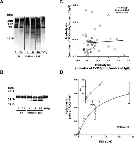 Figure 1. Proteolytic activity of IgG purified from the plasma of patients with acquired hemophilia. (A-B) IgG-mediated proteolysis of FVIII and FIX. Biotinylated human recombinant FVIII (A, 185nM) or FIX (B, 185nM) was incubated alone for 0 or 24 hours, or in the presence of IgG (67nM) for 24 hours at 37°C. IVIg was used as a source of normal IgG and as a control. Samples were subjected to 10% SDS-PAGE and transferred onto a nitrocellulose membrane, before revelation of biotinylated fragments. Vertical lines between lanes indicate a repositioned gel lane (A). (C) IgG-mediated proteolysis of FVIII versus proteolysis of FIX. The graph shows the rates of IgG-mediated proteolysis of FVIII plotted as a function of the rates of IgG-mediated proteolysis of FIX (values in Table 2). The correlation between the 2 parameters was not significant as computed using the Spearman rank correlation test. (D) Proteolysis of 125I-labeled FIX by IgG in the presence of increasing amounts of unlabeled FIX. 125I-Labeled FIX (4.55 ng) was incubated for 24 hours with IgG (25 μg/mL) from patient 16 in the presence of increasing concentrations of unlabeled FIX (0-20μM). Proteolysis of FIX was analyzed on a 7.5% SDS-PAGE, and autoradiographs were scanned. Rates of proteolysis of labeled FIX were calculated by densitometric analysis of the 45-kDa protein band that corresponds to activated FIX. Data are the mean of 3 independent experiments (mean ± SEM); ○ indicates empirical data. Curve indicates data fitted to the Michaelis-Menten equation (R = 0.88). (Insets) Reciprocal of the substrate concentration versus that of the velocity (R = 0.99) for the 5 highest concentrations of unlabeled FIX.