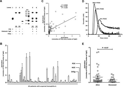 Figure 2. Activation of FIX by IgG from patients with acquired hemophilia. (A) Cleavage sites for hydrolytic IgG on FIX. Human recombinant FIX (lane 1), IgG purified from the plasma of patients 16 and 32 (lanes 2 and 3), human recombinant activated FIX (lane 4), and FIX incubated in the presence of patients' IgG (lanes 5 and 6) were subjected to 4% to 12% SDS-PAGE. Proteins were stained by colloidal Coomassie blue. (B) Activation of FIX by IgG from 65 patients with acquired hemophilia. FIX (1μM) was incubated alone (FIX) or in the presence of IVIg, IgG from a patient with congenital hemophilia B (HJC), or IgG (67nM) purified from the plasma of 65 patients with FIX-proteolyzing IgG (Table 2) for 24 hours at 37°C. Rates of formation of FIX were calculated based on the ability of the generated activated FIX to activate FX. The data are expressed as millimoles of activated FIX formed per min per mole of IgG. The data represent the means and SDs of 3 individual experiments. Purified IgG neither directly activated FX (data not shown) nor hydrolyzed the chromogenic substrate for activated FX (rates < 10 fmol/min per mole of IgG). (C) IgG-mediated FIX activation correlates with FIX proteolysis. The graph shows the rates of IgG-mediated activation of FIX plotted as a function of the rates of IgG-mediated proteolysis of FIX (Table 2), both expressed in terms of millimoles of activated FIX/min per mole of IgG. The significance of correlation between the 2 parameters was computed using the Spearman rank correlation test. (D) Generation of thrombin by activated FIX in the presence of FVIII. The thrombin generation assay probes the whole intrinsic coagulation cascade from contact activation to the formation of thrombin as well as the inactivation of activated coagulation factors by plasma protease inhibitors. Tissue factor-independent thrombin generation curves were determined in human plasma that is devoid of platelets (PPP). The generation of thrombin was monitored during 120 minutes in FVIII-deficient plasma supplemented with exogenous FVIII at 0%, 3%, 10%, or 30% of the level found in normal plasma and in the presence of 0.3nM of activated FIX. The time to reach the peak of thrombin generation (referred to as time-to-peak) was computed. Results are representative of 2 independent experiments. Indicated percentage values represent adjusted FVIII levels in test plasma. (E) Relevance of IgG-mediated activation of FIX. The 52 acquired hemophilia patients with a documented survival status were divided into 2 groups based on the survival status 1 year after diagnosis. Cumulative average rates of IgG-mediated activation of FIX in deceased patients differed, although not significantly (P = .067), from those of surviving patients, as assessed using a 2-sided unpaired t test followed by Welch correction.