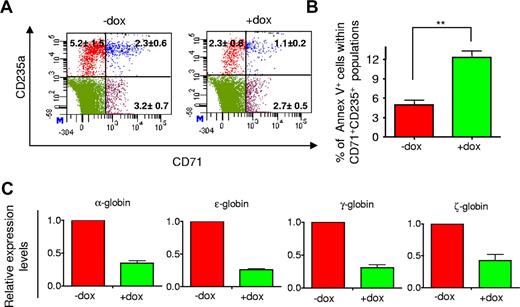 Figure 5. miRs-126/126* reduced the frequency of erythroid progenitors during EB differentiation. (A) Representative flow cytometric analysis of cell surface markers CD71 and CD235a of day 15 EB cells. Numbers indicate the percentage of cells within each category. (B) miRs-126/126* increased levels of apoptosis of CD71+CD235a+ cells of day 15 EBs. (C) miRs-126/126* induction suppressed expression of embryonic and fetal globins of day 15 EB cells. Values of fold change in expression are relative to cells without Dox treatment. Data are mean ± SD (n = 3). **P < .01.