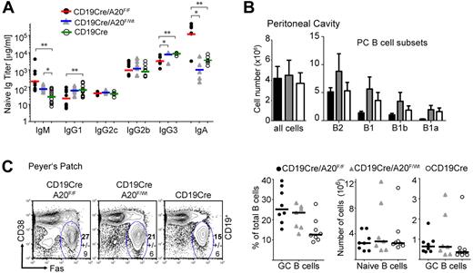 Figure 2. A20-deficiency impairs B1 cell generation but enhances GC formation in the GALT. (A) Titers of immunoglobulin isotypes were determined by ELISA; n = 6 to 12 per genotype. (B) Absolute cell numbers of B-cell subsets in the peritoneal cavity: B2 (CD19+B220+), B1 (CD19highB220low), B1a (CD19highB220lowCD5+), and B1b (CD19highB220lowCD5−) cell numbers were calculated from 5 to 7 age-matched mice per genotype. Data are mean ± SD. (C) Left panel: Proportions of GC (CD19+PNAhiFashiCD38lo) of total B cells in Peyer patches. Data are mean ± SD of 8 mice per genotype. Right panel: Proportions of GC B cells depicted as individual data points (left chart), absolute cell numbers for naive B cells (mantle zone B cells: CD19+PNA− Fas−CD38hi; middle chart), and GC B cells (right chart). Bars represent medians of 8 mice per group (same as in the left panel). *P < .05 (1-way analysis of variance). **P < .001 (1-way analysis of variance).