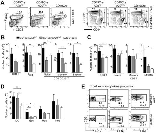 Figure 3. Ablation of A20 in the B-lineage has B cell-extrinsic effects on immune homeostasis. (A) Dot-plots showing percentages of CD4+Foxp3+ regulatory T cells and CD4+CD25− T cells (naïve indicates CD44intCD62Lhi; memory, CD44hiCD62Lhi; and effector, CD44hiCD62Llo) in the spleen. Numbers indicate the mean of 4 to 6 mice for each genotype. (B-D) Absolute cell numbers of CD4 T (B), CD8 T (C), and myeloid cell (D) subsets in BA20−/−, BA20+/−, and CD19cre mice (n = 6 per group; 8-12 weeks old). Data are mean ± SD. Treg indicates Foxp3+; naive, CD44intCD62Lhi; memory, CD44hiCD62Lhi; effector/memory, CD44hiCD62Llo; DC, dendritic cell (CD11c+); Eos, eosinophils (Gr1intSiglecF+); Mac, macrophages (Mac1+Gr1lo); and Neu, neutrophils (Gr1hiLy6G+). (E) Intracellular cytokine staining of ex vivo isolated splenocytes (gated on T cells). Numbers represent mean plus or minus SD of 3 mice per genotype. *P < .05 (1-way analysis of variance). **P < .001 (1-way analysis of variance).