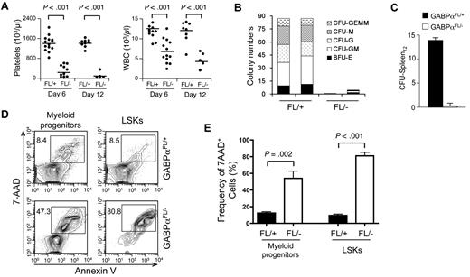 Figure 2. GABPα is required for HSC differentiation and survival. (A) Peripheral blood analysis. Blood was collected from Mx1Cre-GABPαFL/+ and Mx1Cre-GABPαFL/− mice on indicated days after pIpC treatments and analyzed on Sysmex XT 2000iv automatic hematology analyzer. Numbers of platelets and white blood cells (WBCs) are shown, with horizontal bars denoting mean values in each group. Data are pooled results from 2-3 independent experiments with 5-13 animals analyzed. (B) Colony formation assays using methylcellulose. Total BM cells from Mx1Cre-GABPαFL/+ and Mx1Cre- GABPαFL/− mice were isolated 4 days after the last pIpC injection. A total of 2 × 104 BM cells were mixed and plated with M3434 methylcellulose-based media. Colonies of each type were counted after 10-day culture. GEMM indicates granulocyte, erythroid, macrophage, megakaryocyte; GM, granulocyte macrophage; G, granulocyte; M, macrophage; BFU-E, burst-forming unit-erythroid. Data are representative from 2 independent experiments with 8 animals analyzed. The colony numbers are averages of triplicate measurements of each individual mouse. (C) Ablation of GABPα diminishes CFU-Spleen12 colonies. Mx1Cre-GABPαFL/+ and Mx1Cre-GABPαFL/− mice were treated with pIpC, and on day 9 after last injection, 1 × 105 BM cells were injected into 900 rad–irradiated hosts. After another 12 days, spleens from the hosts were harvested and macro-colonies were counted. Shown are representative from 2 independent experiments with similar results (n = 4 in each experiment). (D) Detection of apoptotic cells in LSK and myeloid progenitor subsets. Total BM cells were isolated from Mx1Cre-GABPαFL/+ and Mx1Cre-GABPαFL/− mice 2-4 days after pIpC treatment, lineage-depleted, and surface-stained with c-Kit and Sca-1, followed by staining with annexin V and 7-AAD. The percentage of annexin V–7-AAD+ cells in each subset is shown. (E) Enhanced cell death of GABPα-deleted LSKs and myeloid progenitors. Data were pooled results from 2 independent experiments with 6 mice of each genotype analyzed.