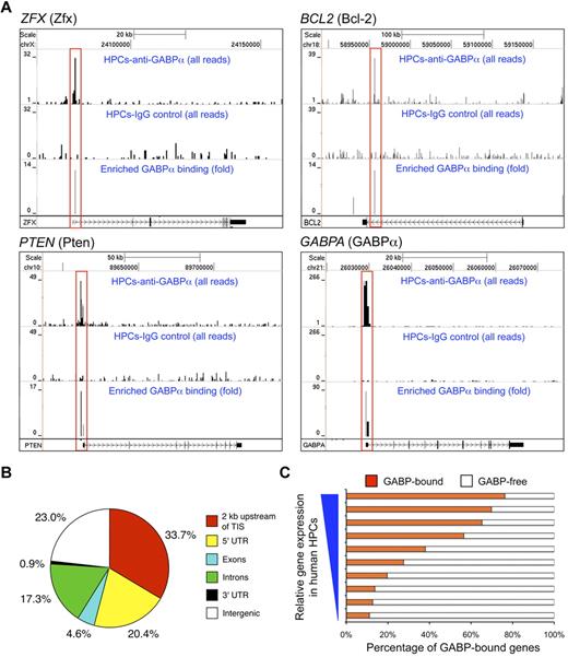 Figure 4. Characterization of genome-wide GABPα binding locations in human HPCs. (A) GABP binding at selected gene loci inferred from ChIP-Seq. Chromatin fragments prepared from CD34+CD133− human HPCs were subjected to ChIP-Seq analysis. For each gene locus (in individual panels), sequence tags from anti-GABPα (first row) and control IgG (second row) samples were displayed on the University of California Santa Cruz genome browser with their heights (y-axis) denoting the tag numbers. GABP binding locations identified by SISSRs, highlighted in red rectangles, are displayed as enrichment peaks in the third row of each panel, with the y-axis heights corresponding to fold-enrichment of GABP sequence tags over control tags. Gene symbols and corresponding protein names (in parentheses), scale, and relative locations in respective chromosomes are shown on the top, and gene structures and directions of transcription are marked at the bottom of each panel. (B) Genome-wide distribution of GABPα binding locations in human HPCs. TIS indicates transcription initiation site; UTR, untranslated region. (C) Correlation between GABP binding and gene expression in human HPCs. Genes sorted by absolute expression levels in human HPCs (from Cui et al26) were binned into 10 groups, and the percentages of genes within each group that bind GABP within 2 kb of TISs are shown.