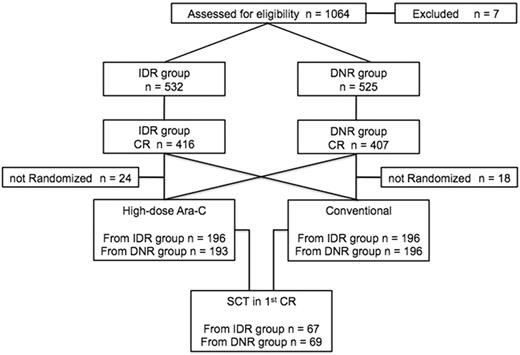 Figure 1. CONSORT flow diagram. IDR indicates idarubicin; DNR, daunorubicin; CR, complete remission; Ara-C, cytarabine; and SCT, stem cell transplantation.