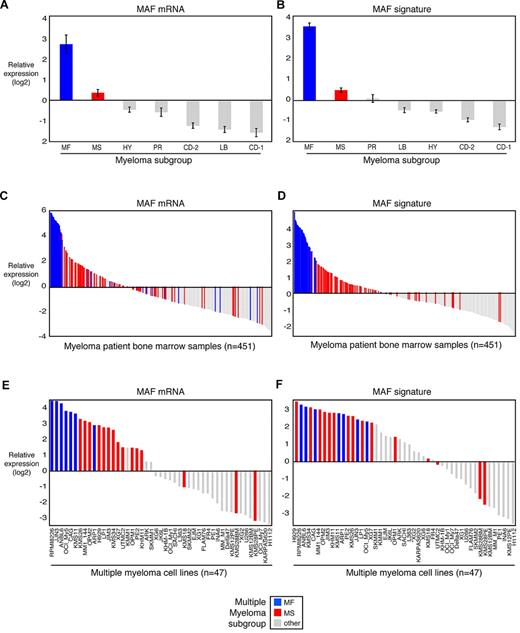 Figure 1. MAF and target genes are highly expressed in myelomas with MAF or MMSET translocations. Expression of MAF and target genes in primary MM patient samples were derived from Affymetrix U133plus2.0 gene expression profiling data from 451 purified bone marrow plasma cell populations collected from untreated patients with MM (A-D) or 47 MM cell lines (E-F). Samples are ranked according to the expression of MAF itself (A,C,E, average of 4 probe sets) or the average expression of MAF and 3 target genes (B,D,F). Expression was centered based on the mean value in normal plasma cells (GEO dataset GSE5900). Myeloma subgroups are designated according to Zhan et al.3