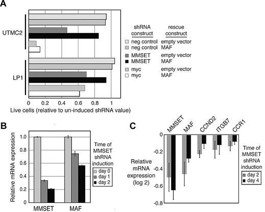 Figure 2. MMSET regulates MAF transcription. (A) Myeloma cell lines UTMC2 and LP-1, both harboring the MMSET translocation, either were engineered to express MAF cDNA under a constitutive LTR promoter or contained an empty construct. These cells were secondarily transduced with a retrovirus expressing MMSET shRNA and coexpressing GFP (“Retrovirally mediated transduction”). Live, GFP-expressing cells were quantified by flow cytometry and normalized to day 2 after retroviral transduction. (B) MM cells were transduced with a TET-inducible MMSET shRNA construct and selected. MMSET shRNA was induced for the indicated times, and RNA was quantified by real-time PCR. (C) Gene expression was profiled during inducible MMSET knockdown. Experiments were repeated in triplicate. Shown are average values of target genes compared with control shRNA targeting luciferase (± SEM).